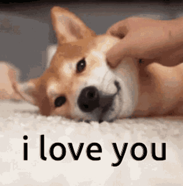 Send This To A Loved One I Love You GIF - Send This To A Loved One I Love You Doge GIFs