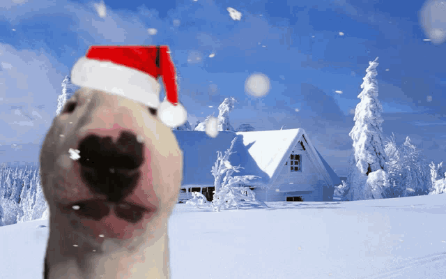 a dog wearing a santa hat stands in front of a snow covered house