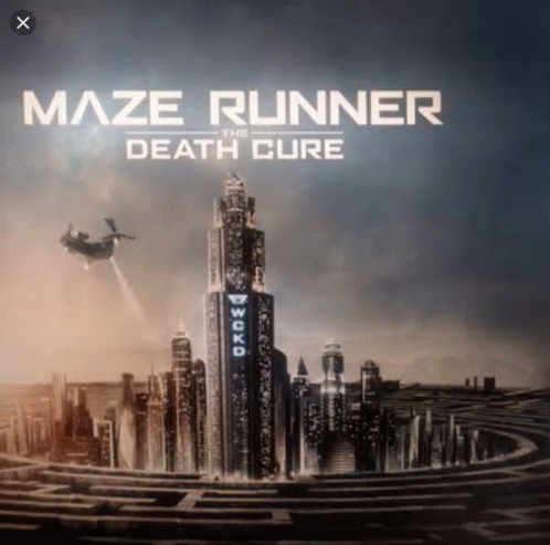 Maze Runner GIF - Maze Runner GIFs