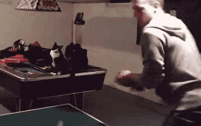 a man is playing ping pong with a cat on the pool table .