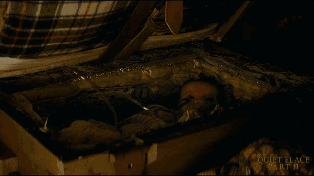 a poster for quiet place part ii shows a baby laying in a suitcase