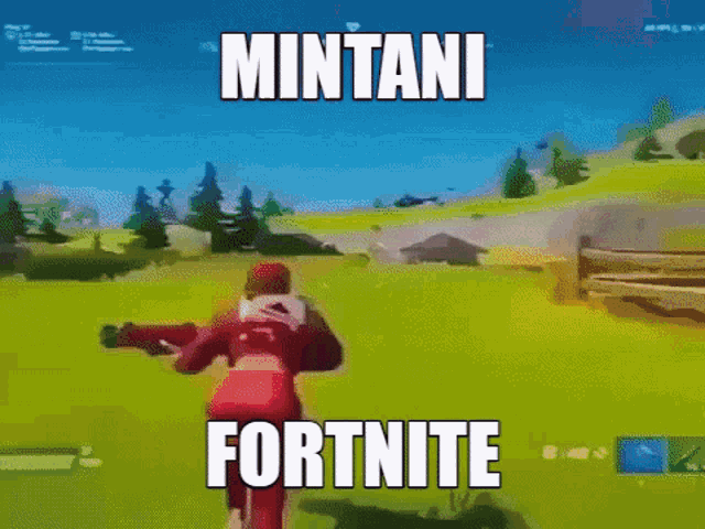 Mintani Gamescage GIF - Mintani Gamescage Fortnite GIFs