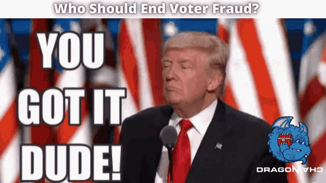 Donald Trump Voter Fraud GIF - Donald Trump Voter Fraud Vote Manipulation GIFs