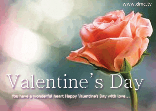a valentine 's day greeting card with a pink rose and the website www.dmc.tv