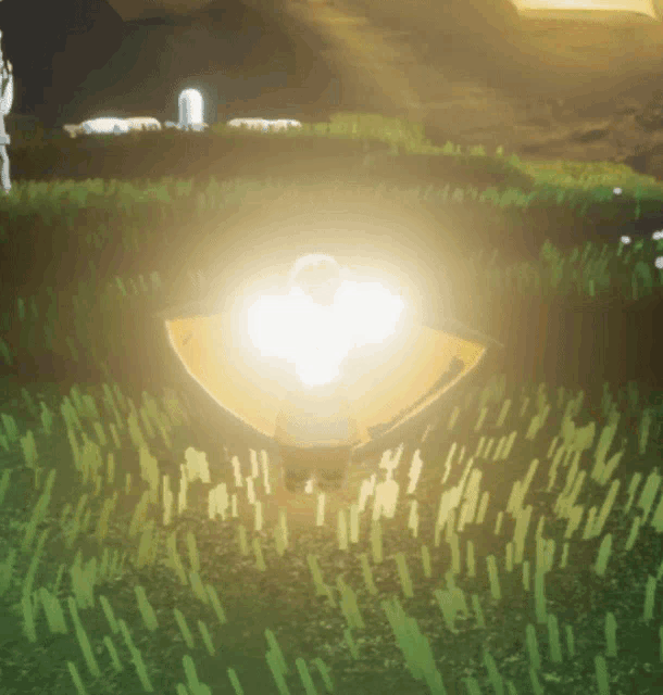 a light shines brightly in the middle of a grassy field