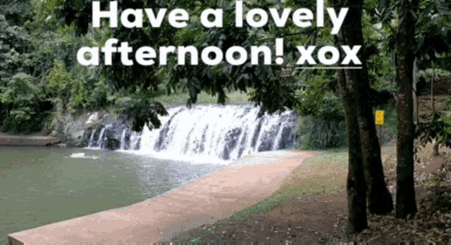 Afternoon GIF - Afternoon GIFs