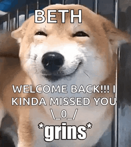 a picture of a dog that says beth welcome back i kinda missed you grins