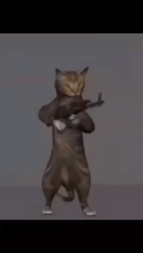Cat Shooting Ak47 GIF - Cat Shooting Cat Ak47 GIFs
