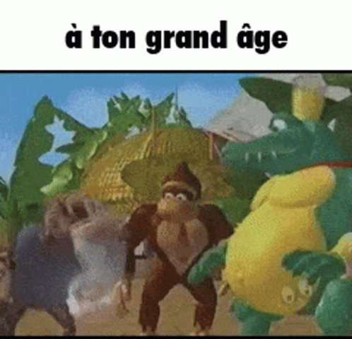 Donkey Kong A Ton Grandâge GIF - Donkey Kong A Ton Grandâge âge GIFs
