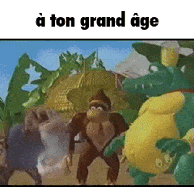 a monkey and a crocodile are standing next to each other with the words a ton grand age below them
