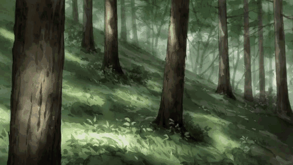 the sun shines through the trees in a forest