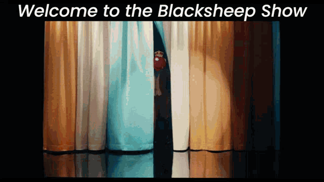 Blacksheep Show Cyber Frogs Blacksheep Show GIF - Blacksheep Show Cyber Frogs Blacksheep Show GIFs