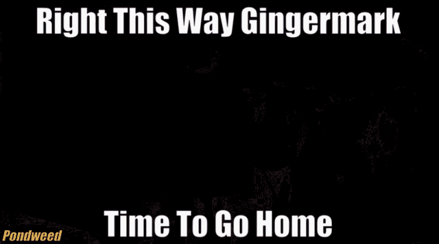 a man in an orange shirt is walking through a fence with a caption that says right this way gingermark time to go home