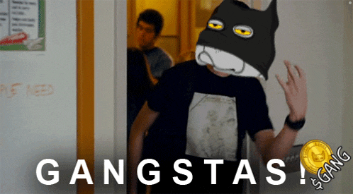 a man with a cat on his head is standing in front of a wall that says gangsta $ gang