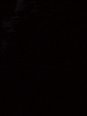 a painting of a seal in the water with a dark background