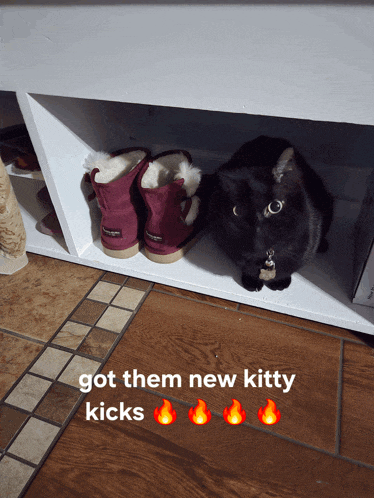 a black cat sits next to a pair of ugg boots on a shoe rack