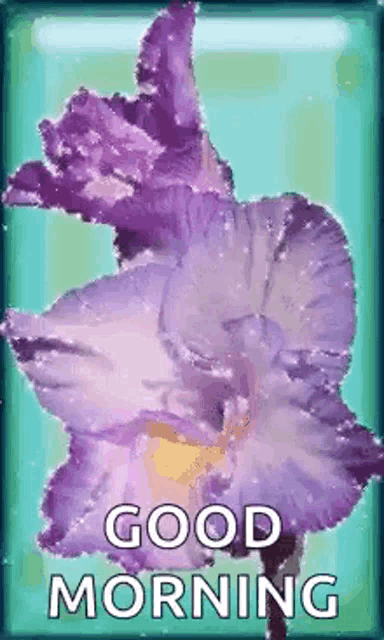a purple flower is on a blue background with the words `` good morning '' .