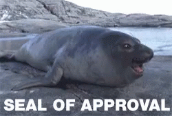 Approve Seal GIF - Approve Seal Approval GIFs