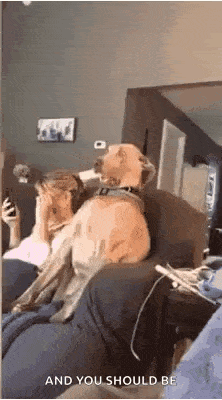 a dog is sitting on a couch in front of a woman .