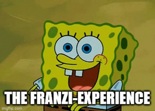 Franzi Experience GIF - Franzi Experience Internet GIFs