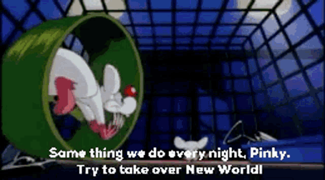 a cartoon of pinky and the brain saying " same thing we do every night pinky "