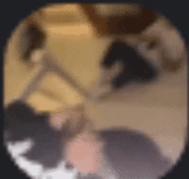 a blurry picture of a group of people holding hands .