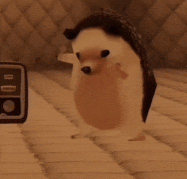 a cartoon hedgehog with the name ronny on the bottom