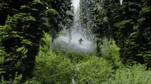 Winters What You Make It. GIF - GIFs
