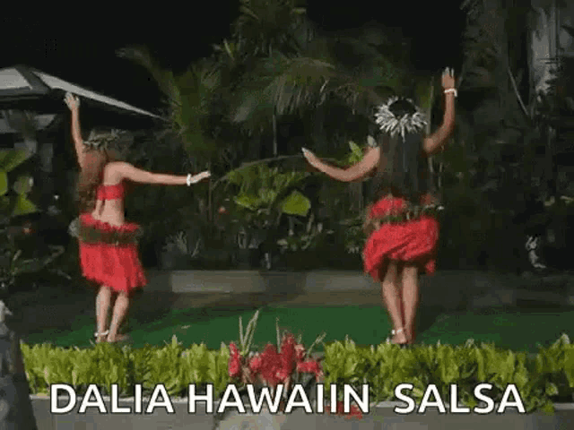 two women in red dresses are dancing hula in a garden at night .