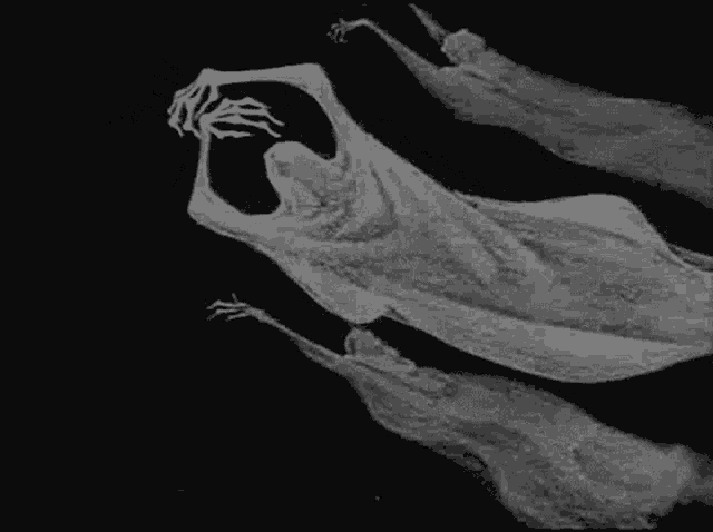 a black and white drawing of a person 's shoulder with a spider crawling on it .