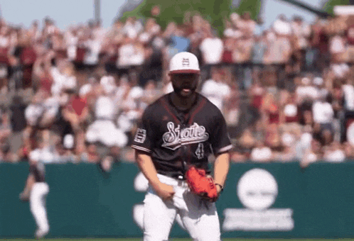 a baseball player is standing on a field with his hands in the air .