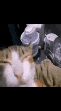 a cat is laying on a table next to a blender and a mixer .