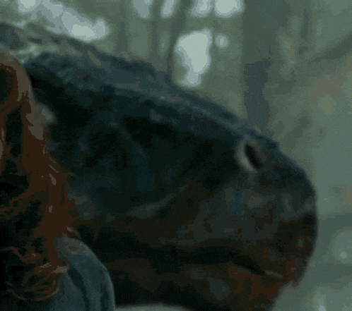 a close up of a horse 's face with a woman behind it