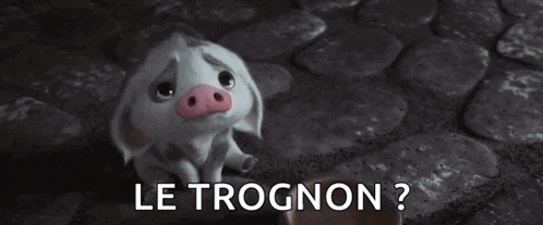 a pig is sitting on a cobblestone street with the words `` le trognon '' .