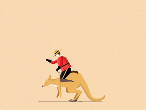 Kangaroo Ridingonback GIF - Kangaroo Ridingonback GIFs