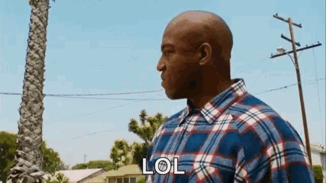 a bald man in a plaid shirt is standing in front of a palm tree and says lol .