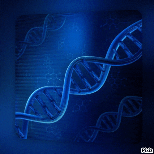 a picture of a dna molecule with pixiz written on the bottom