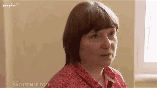 a woman in a red shirt is shown on a screen that says sachsenspiegel