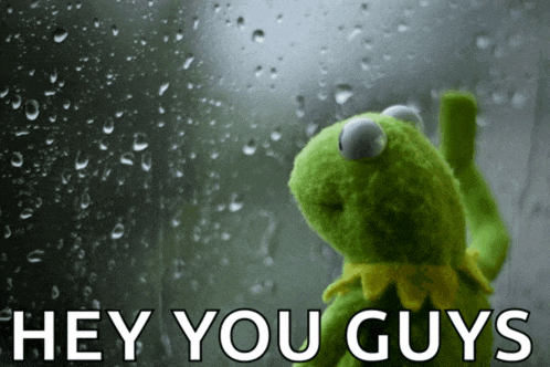 kermit the frog looking out a window with the words hey you guys written below him