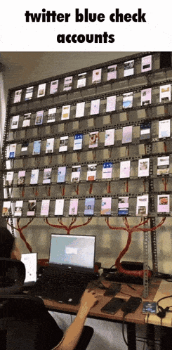 a person sitting at a desk with a laptop in front of a wall of phones with the words twitter blue check accounts