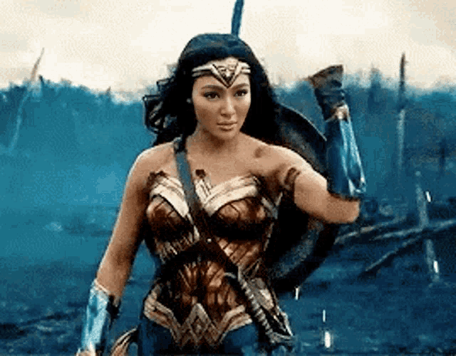 wonder woman is holding a shield and a sword in a field .