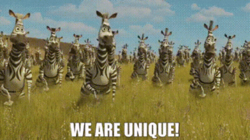 Madagascar Zebras GIF - Madagascar Zebras We Are Unique GIFs