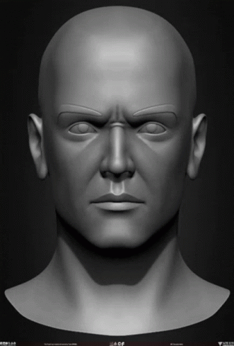 Head Face GIF - Head Face Basemesh GIFs