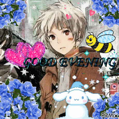 a picture of a boy and a bee with the words good evening written on it
