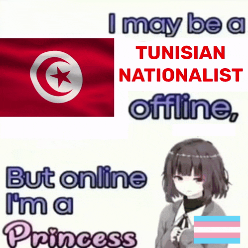 a poster that says i may be a tunisian nationalist but online i m a princess