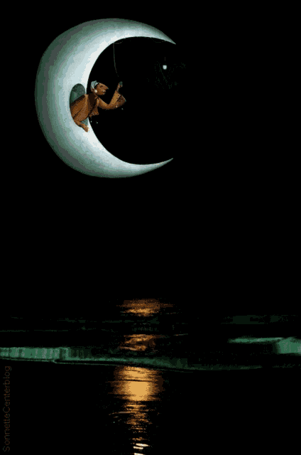 a turtle is sitting on a crescent moon holding a star