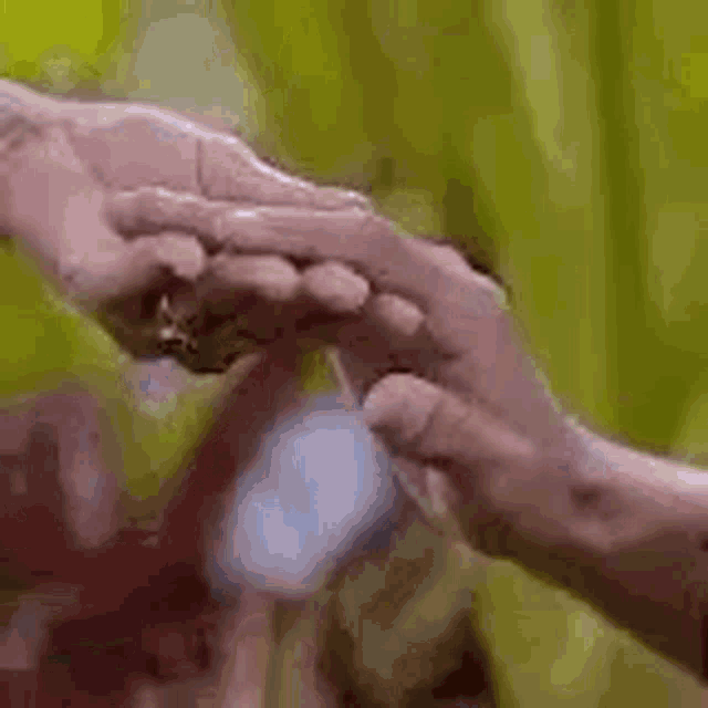 a close up of a person holding another person 's hand with a ring on it .
