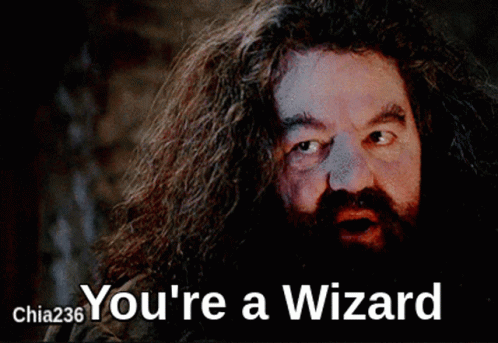 Youre A Wizard Hagrid GIF - Youre A Wizard Hagrid Afirmation GIFs