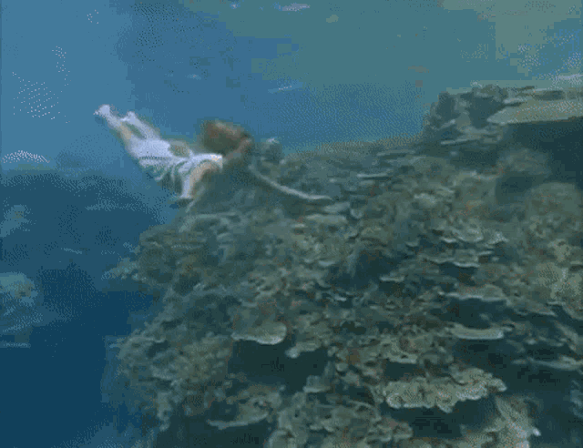 Underwater Mermaid GIF - Underwater Mermaid Ocean Girl GIFs