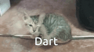 a kitten is laying on the floor next to a wire and the word dart is written on it .